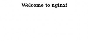 Installing Nginx fig 1