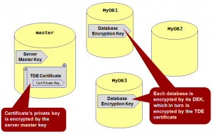 Transparent Data Encryption fig1